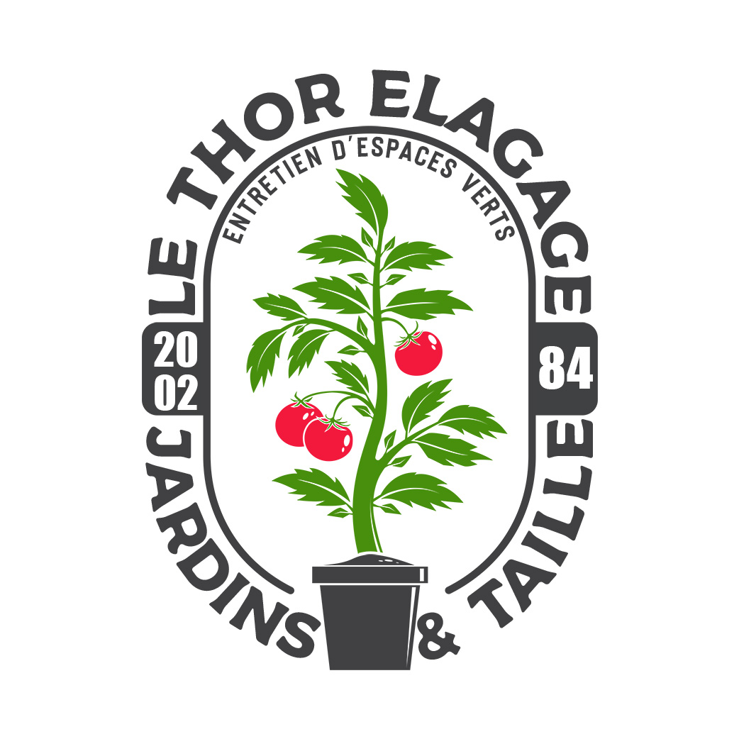 Le Thor Élagage